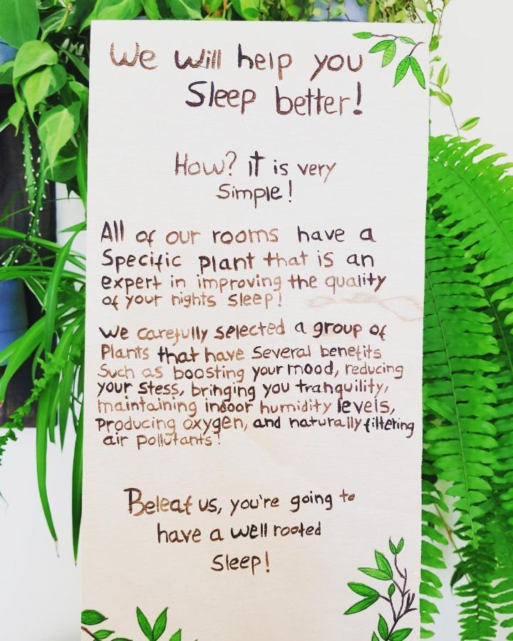 Green Element Guesthouse 코스타 다 카파리카 외부 사진