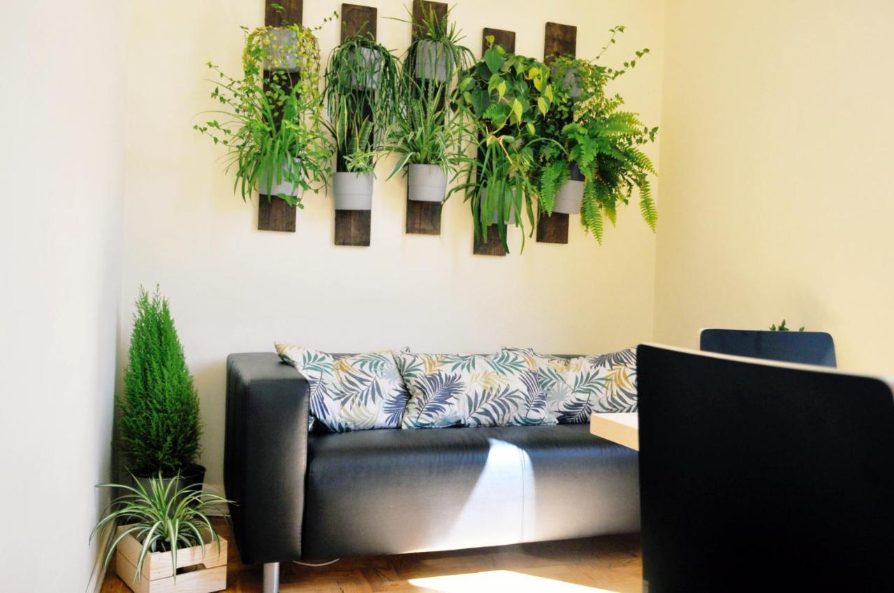 Green Element Guesthouse 코스타 다 카파리카 외부 사진