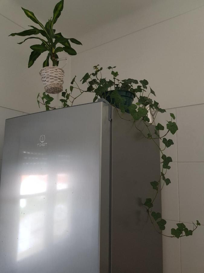 Green Element Guesthouse 코스타 다 카파리카 외부 사진